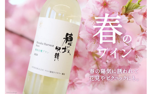 ワイン 定期便 セット 12回 12本 赤ワイン 白ワイン 赤 白 毎月 おまかせ 飲み比べ ソムリエ セレクト 山梨ワイン 日本ワイン マルスセレクト スパークリングワイン 本坊酒造 [マルス穂坂ワイナリー 山梨県 韮崎市 20743307]