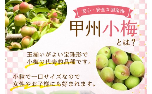 梅干し はちみつ風味 干し小梅 75g×2 [山梨農産食品 山梨県 韮崎市 20743523] 国産 梅干 うめぼし 梅 小粒 小梅 はちみつ 蜂蜜 漬物 つけもの