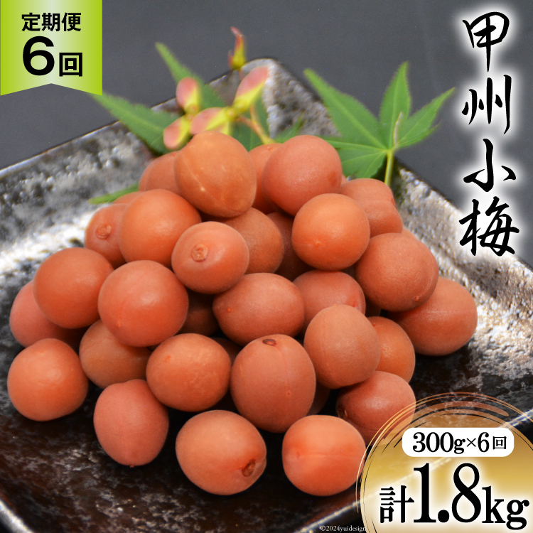 【6回 定期便 毎月】【カリカリ】甲州小梅 300g [山梨農産食品 山梨県 韮崎市 20743718] 梅干し 梅干 うめぼし 梅 小粒 小梅 カリカリ梅 国産 おやつ 