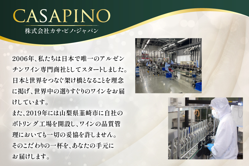 ワイン 白 シエロアンディーノ・ホワイト 720mL×12本 [株式会社カサ・ピノ・ジャパン 山梨県 韮崎市 20745578] 白ワイン 12本 セット まとめ買い 大容量 デイリーワイン テーブルワイン チリ産 普段飲み 宅飲み お酒 蔵元 洋酒