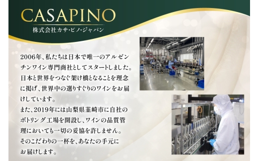 ワイン 赤 ブリサ・アンディーナ メルロー 500ml 12本 セット [カサ・ピノ・ジャパン 山梨県 韮崎市 20745346] ワインセット 山梨 酒 お酒 赤ワイン アルコール ぶどう 果実酒