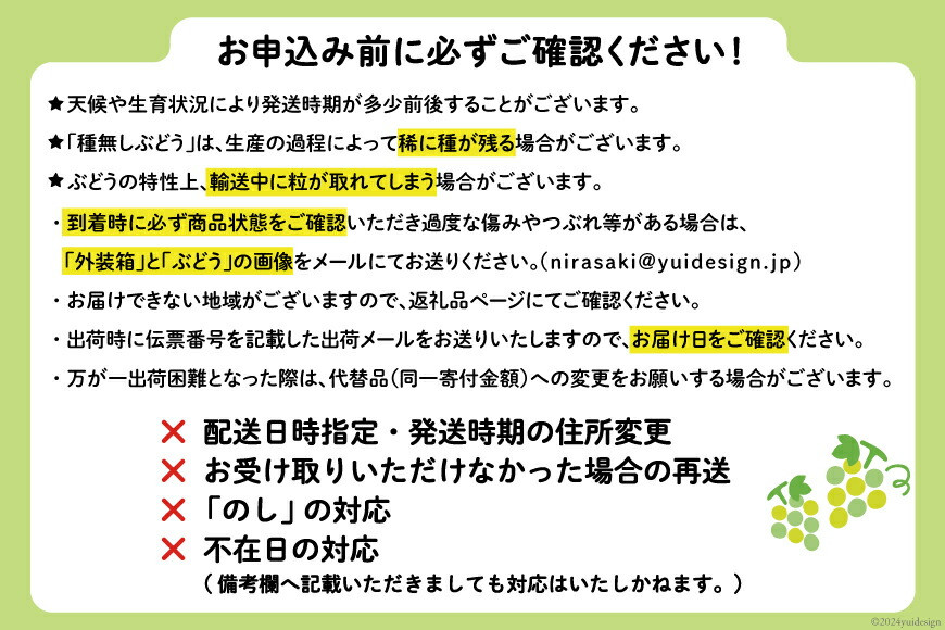 シャインマスカット 先行予約 約1.2kg (2〜2.5房) 【2027年発送】 [梨北農業協同組合 山梨県 韮崎市 20742921] 冷蔵発送 ぶどう フルーツ 果物 くだもの ブドウ 葡萄 種なし 1.2キロ 甘い 期間限定 季節限定 JA 厳選 山梨県産