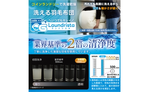 【冬用】洗える 羽毛布団 セミダブル 本掛け 増量 冬 掛け布団 ホワイトダックダウン85％ 1.4kg 350dp グレー 無地 羽毛 布団 羽毛ふとん 本掛け布団 4つ星 エクセルゴールドラベル ダウンケット 寝具 掛布団 羽毛掛け布団 コインランドリー 抗菌防臭 防汚加工 柔軟加工 防ダニ [川村羽毛 山梨県 韮崎市 20745105]