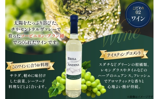 ワイン 白 ブリサ・アンディーナ ソーヴィニヨンブラン 500ml 12本 セット [カサ・ピノ・ジャパン 山梨県 韮崎市 20745345] ワインセット 山梨 酒 お酒 白ワイン アルコール ぶどう 果実酒