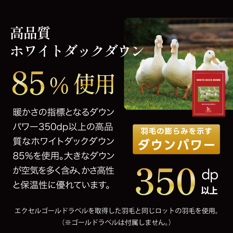 【訳あり】 羽毛布団 シングル 冬用 本掛け 色柄おまかせ ダウンケット ホワイトダックダウン 85％ 1.2kg 軽量生地 TTC 布団 ふとん 羽毛 掛け布団 羽毛ふとん 日本製  [川村羽毛 山梨県 韮崎市 20743628]