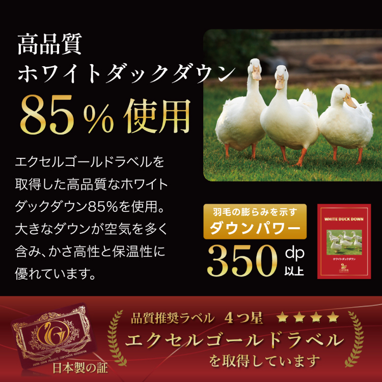 【春秋用】 羽毛布団 セミダブル 合掛け 中厚 羽毛 布団 ホワイトダックダウン 85％ 1kg (無地 アイボリー)  350dp 掛け布団 春用 秋用 ダウンかけ布団 日本製 ダウンケット ふとん 4つ星 エクセルゴールドラベル 抗菌防臭 ダニプルーフ 花粉フリー 柔軟加工 [川村羽毛 山梨県 韮崎市 20743640]