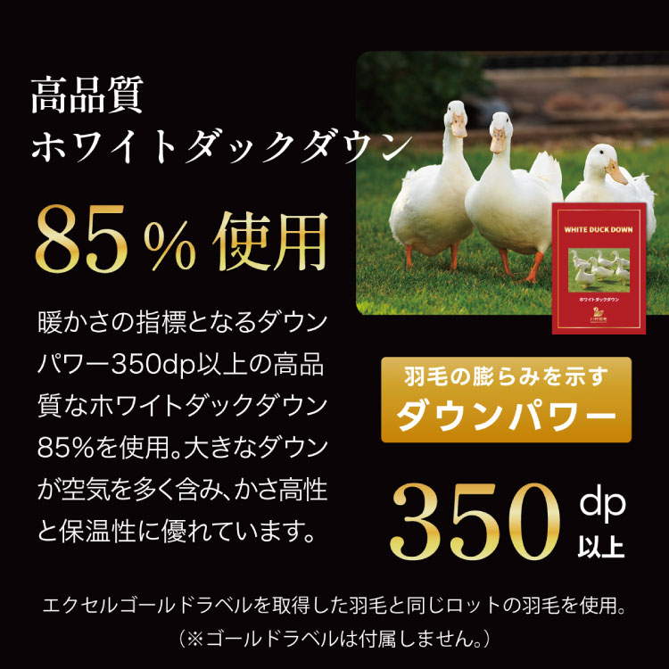 【訳あり】羽毛布団 シングル 合掛け 色柄おまかせ 春 秋 中厚 羽毛  布団  ホワイトダックダウン85％ 0.8kg 350dp 掛け布団 春用 秋用 ダウンかけ布団  日本製 寝具 ダウンケット ふとん [川村羽毛 山梨県 韮崎市 20743638]
