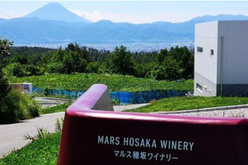 ワイン 赤 ミディアムボディ 一升瓶ワイン 韮崎市 1.8L×1 マルスワインシルバー 1800ml 山梨ワイン 赤ワイン 酒 洋酒 アルコール度 12％ 果実酒  [本坊酒造 マルス穂坂ワイナリー 山梨県 韮崎市 20743449]