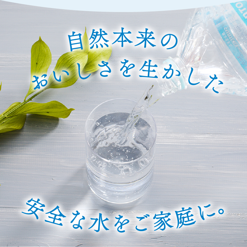 【12ヵ月定期便】サントリー天然水 南アルプス（2L×6本）　軟水 ミネラルウォーター ペットボトル ベビー 防災 キャンプ アウトドア SUNTORY 定期便