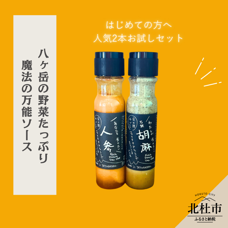 はじめてのフェリチタ（2本）　ドレッシング レギュラーサイズ 200ml×2本 お試し 人参 胡麻 食べ比べ サラダ 温野菜 手づくり
