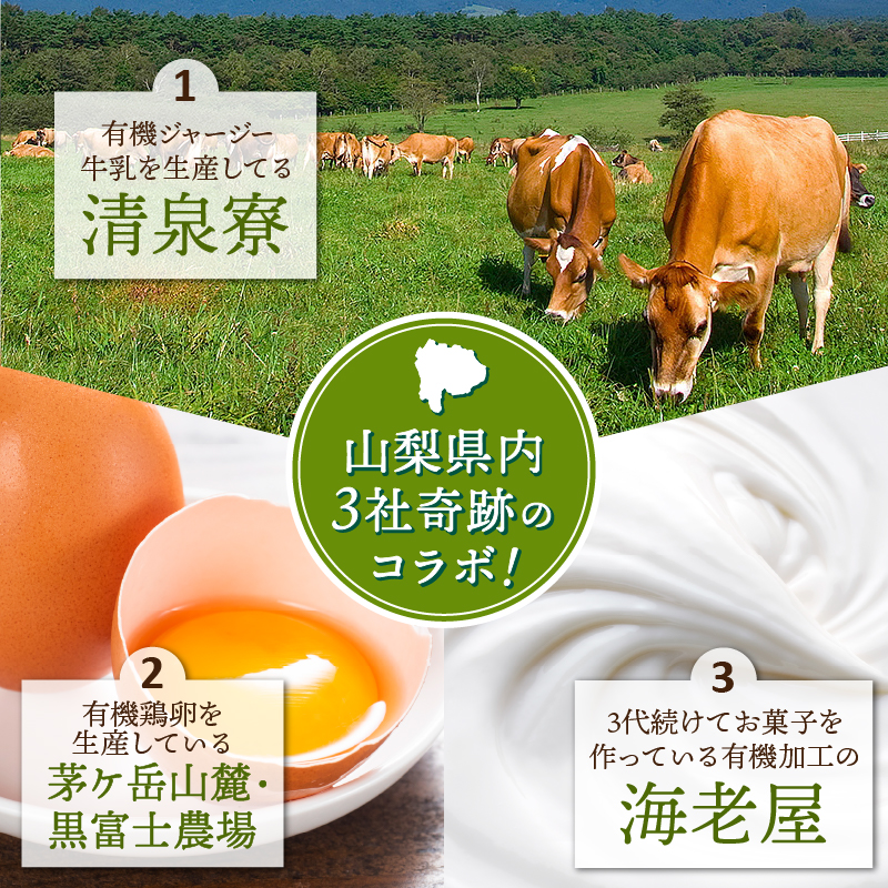 有機JAS認証ジャージーアイスクリーム 100ml×6個　アイスクリーム 有機アイスクリーム 有機JAS認証 有機ジャージー牛乳 生乳 100ml×6個 コラボ アイス 清泉寮 ジャージー牧場 茅ケ岳山麓 黒富士農場 海老屋 有機 アイス スイーツ デザート 山梨県 北杜市産 人気 バレンタインデー チョコ以外 ホワイトデー お返し