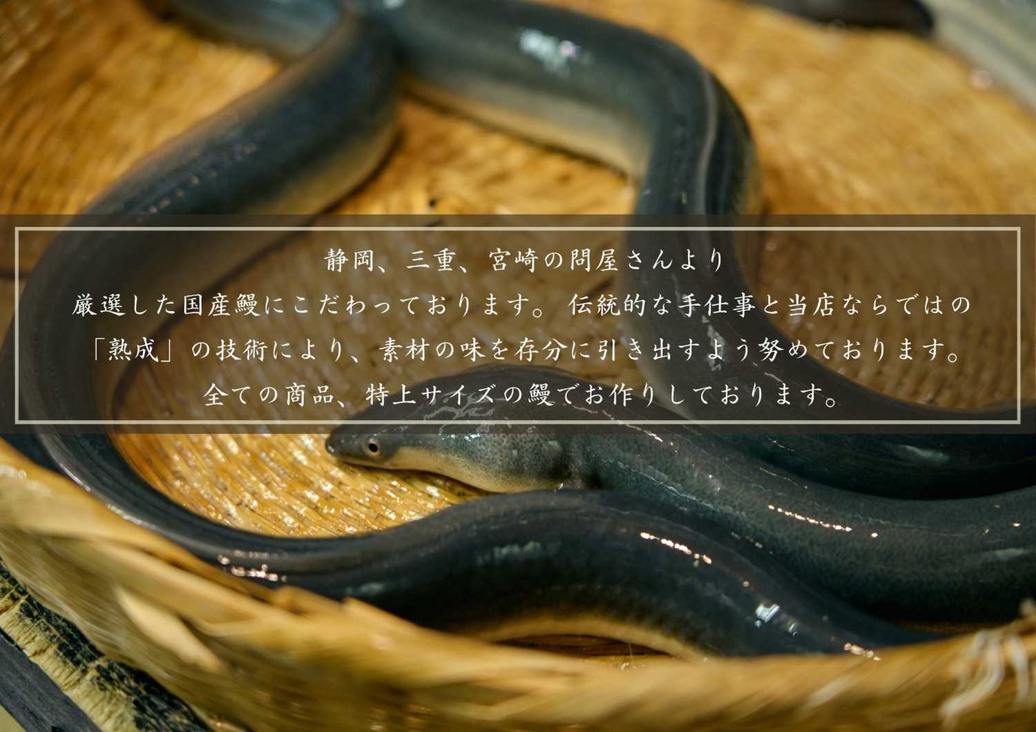 AGED EEL®︎ うなぎ蒲焼き 4枚セット　うなぎ ウナギ 鰻 蒲焼き 真空パック 冷凍 熟成 備長炭 秘伝 職人 小淵沢 井筒屋