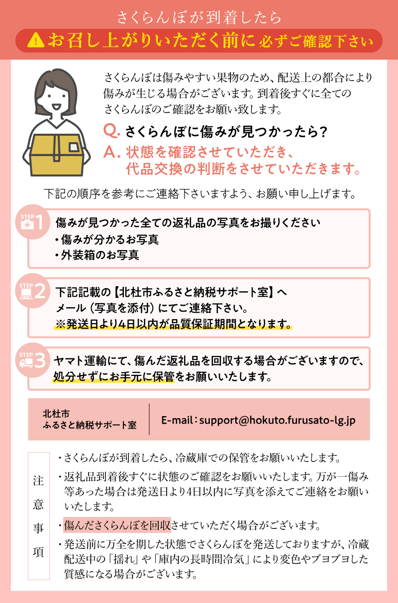 【2027年先行予約】完熟大玉・さくらんぼ（2～3Lバラ約500g）　毎日農業記録賞 全国最優秀賞 受賞 さくらんぼ 佐藤錦 紅秀峰 チェリー 果物 フルーツ くだもの サクランボ さくらんぼ 岩原果樹園 山梨県 北杜市