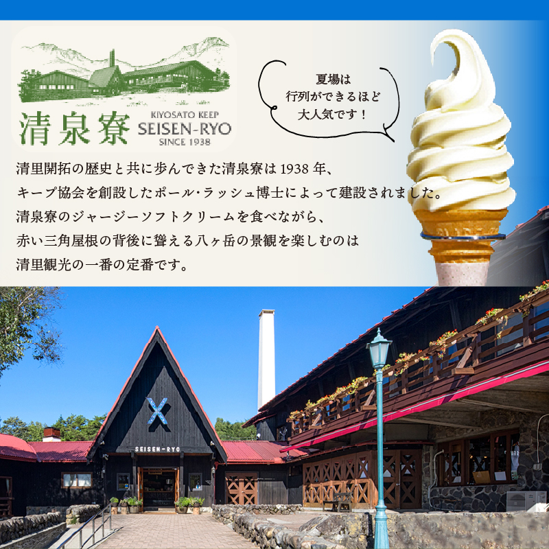 清泉寮ジャージーゴーダチーズ 100g×2個　チーズ ゴーダチーズ 100g×2個 清里 清泉寮牧場 有機ジャージー 有機JAS認証取得 ジャージー牛乳 低温殺菌処理 清里 山梨県 北杜市産