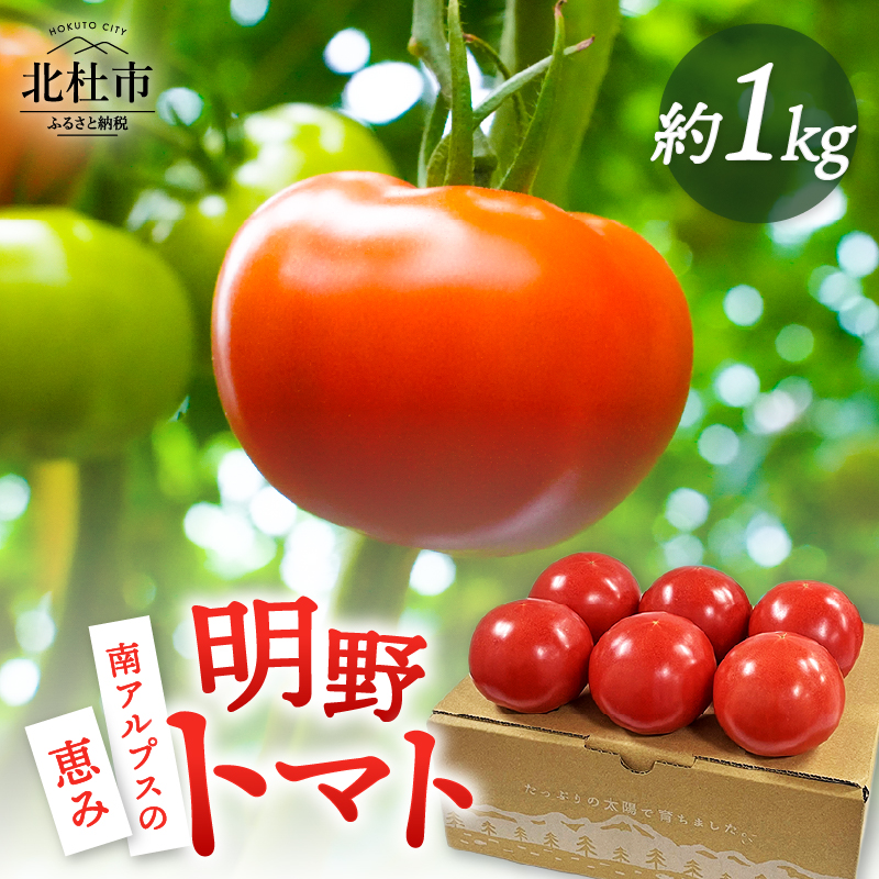 明野とまと 約1kg　トマト 詰め合わせ 約1kg 新鮮 甘味 酸味 野菜 明野とまと 九州屋ファーム 明野町 山梨県 北杜市