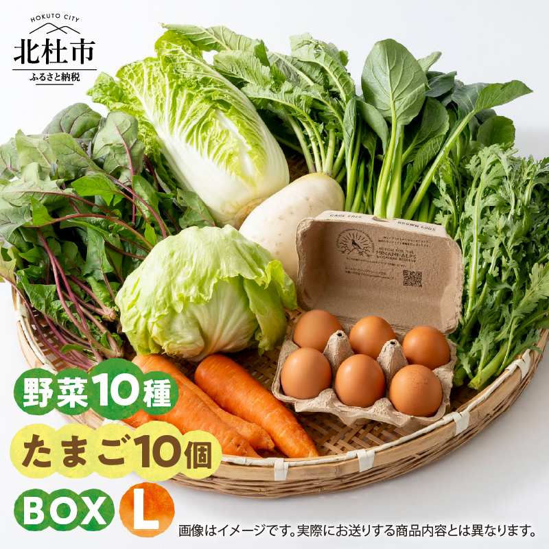 野菜たまごBOX『L』 すべて北杜市産　野菜 たまご セット 期間限定 野菜10種 平飼いたまご10個 農薬・化学肥料不使用 山梨県 北杜市産 仕送りギフト