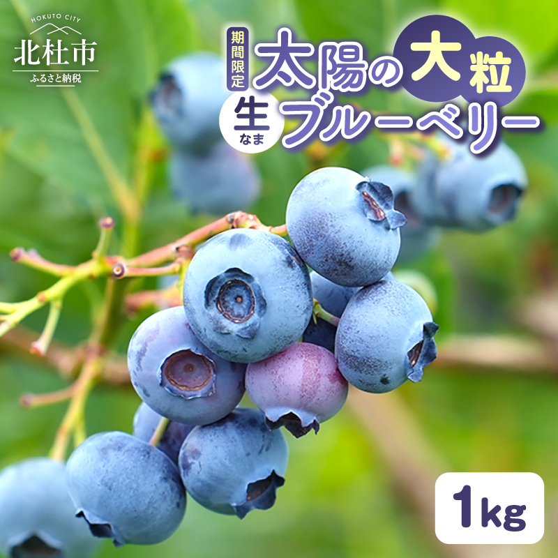 【2027年先行予約】【大粒】山梨県産（明野産）生果 ブルーベリー1000g　生果 ブルーベリー1000g　無農薬 新鮮 フルーツ くだもの 生果実 ベリー 北杜市産 期間限定 数量限定