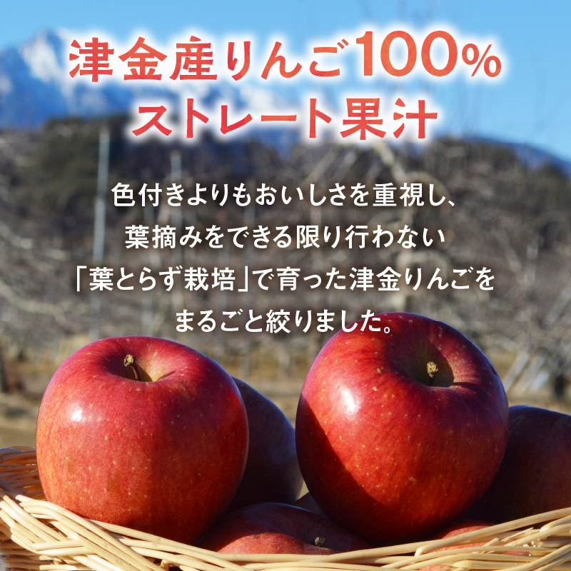 八ヶ岳南麓津金りんごジュース 1,000ml 2本入り　100％ ストレート果汁 津金 りんご サンふじ 無加水 無加糖 無着色 果汁飲料