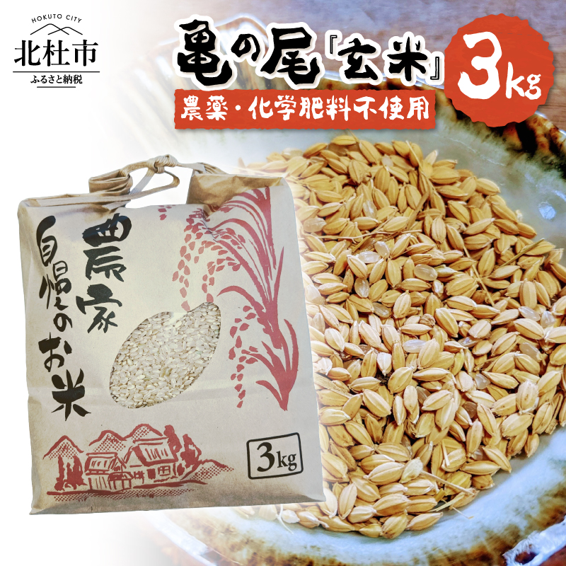 【先行予約】【令和8年度新米】白州米 亀の尾『玄米』3kg 　農薬不使用 化学肥料不使用 天日干し 幻の米 希少 低タンパク