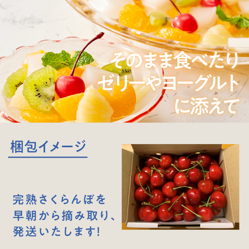 【2027年先行予約】完熟大玉・さくらんぼ（L～2Lバラ約500g）　佐藤錦 紅秀峰 サクランボ チェリー 果物 産地直送 冷蔵 フルーツ 岩原果樹園