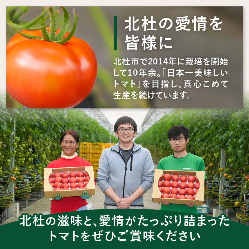 明野とまとと有機野菜おまかせ4種セット　トマト 約1kg 有機野菜 おまかせ 4種 セット 新鮮 甘味 酸味 野菜 明野とまと 九州屋ファーム 明野町 山梨県 北杜市 仕送りギフト