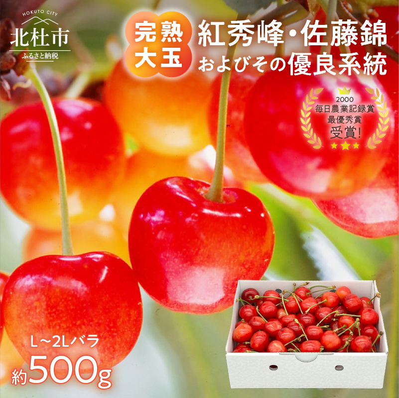 【2027年先行予約】完熟大玉・さくらんぼ（L～2Lバラ約500g）　佐藤錦 紅秀峰 サクランボ チェリー 果物 産地直送 冷蔵 フルーツ 岩原果樹園