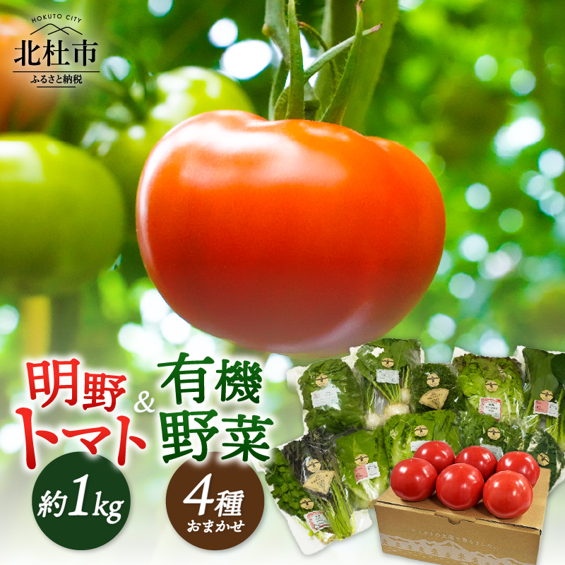 明野とまとと有機野菜おまかせ4種セット　トマト 約1kg 有機野菜 おまかせ 4種 セット 新鮮 甘味 酸味 野菜 明野とまと 九州屋ファーム 明野町 山梨県 北杜市 仕送りギフト