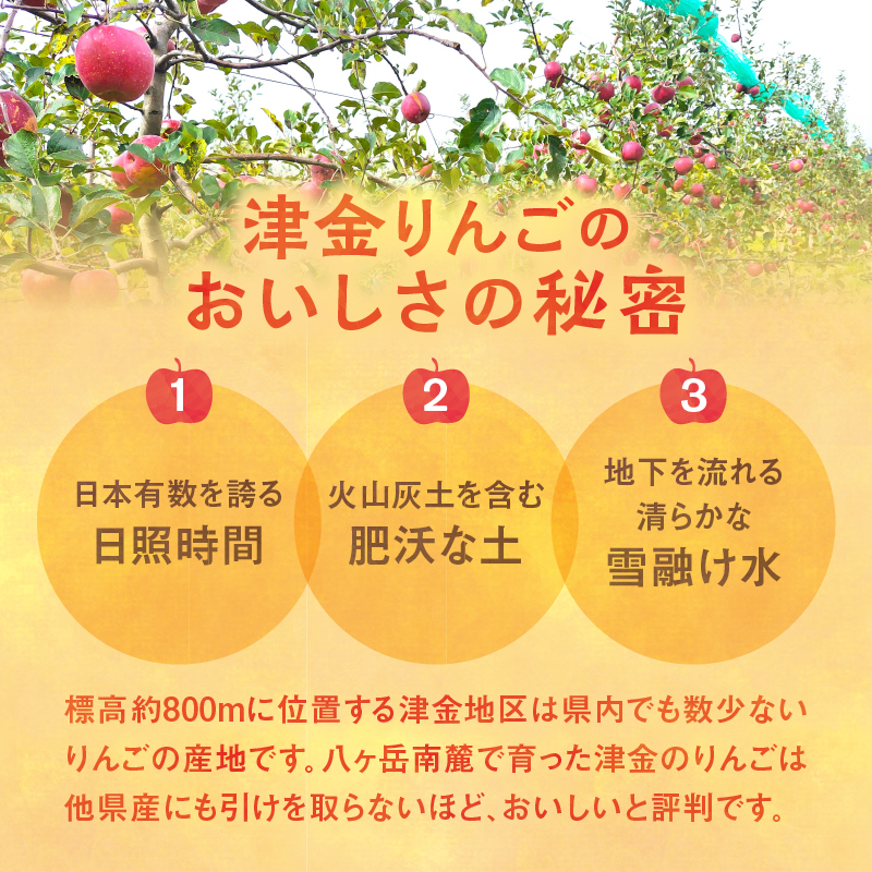 八ヶ岳南麓津金りんごジュース 1,000ml 2本入り　100％ ストレート果汁 津金 りんご サンふじ 無加水 無加糖 無着色 果汁飲料