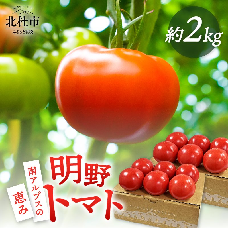 明野とまと 約2kg　トマト 詰め合わせ 約2kg 新鮮 甘味 酸味 野菜 明野とまと 九州屋ファーム 明野町 山梨県 北杜市