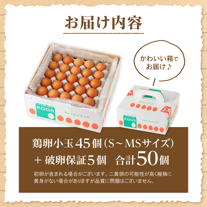 水の恵み小卵　たまご S～MS サイズ 小玉 卵 鶏卵 45個 水の恵み 小卵 破卵保証5個入り 小ぶり 濃厚 山梨県 北杜市産 ハイチック 明野農場