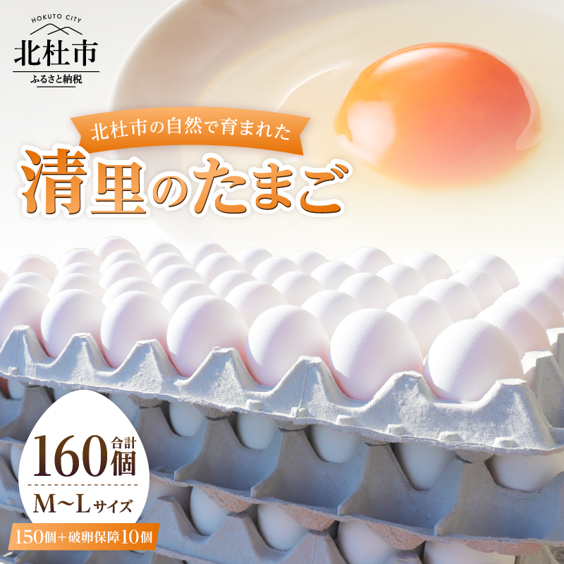 ハイチック 清里のたまご 160個（破卵保証10個含む）　卵 業務用 鶏卵白玉150個入（M～Lサイズ）破卵保証10個入り 山梨県 北杜市産 八ヶ岳