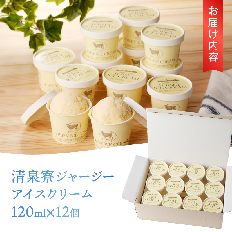 清泉寮ジャージーアイスクリーム 120ml×12個　アイスクリーム アイス ジャージーアイス 120ml 12個 プレミアム 有機ジャージー牛乳 安定剤不使用 乳化剤不使用「やまなしアニマルウェルフェア」 三ツ星認証 北杜市 清里 清泉寮 ジャージー牧場 人気 バレンタインデー チョコ以外 ホワイトデー お返し