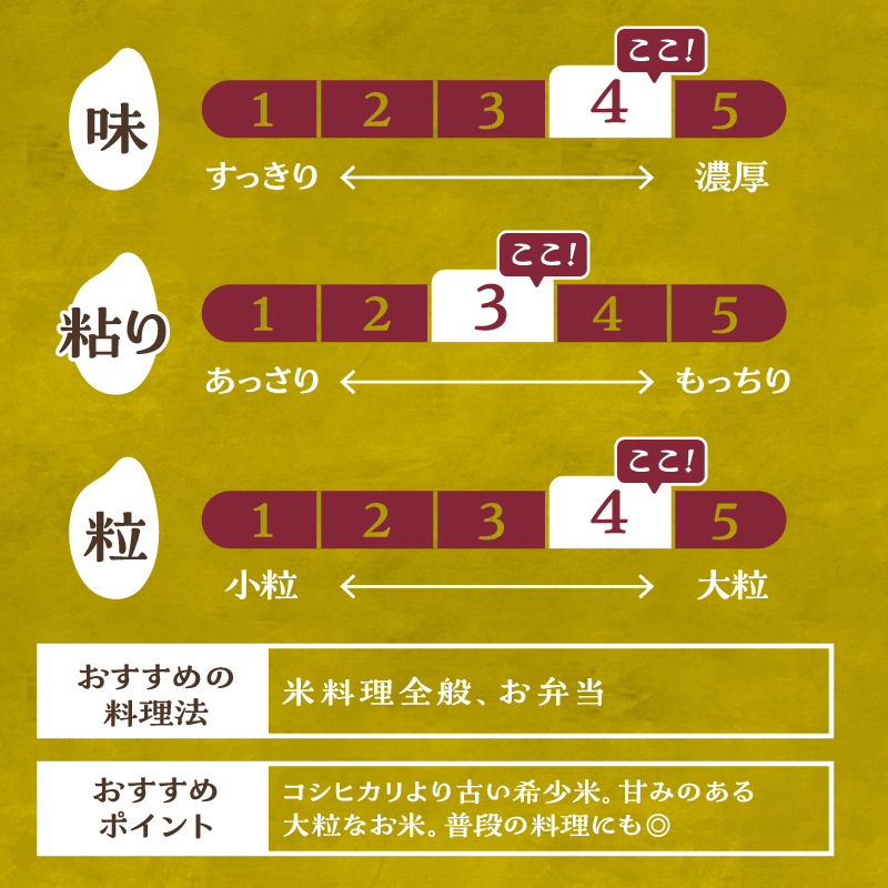 【先行予約】【令和8年度新米】こぴっと米【農林48号】4kg 1等特別栽培 100％　米 新米 精米 よんぱち 幻のお米 北杜市産 お米 等級検査1等米