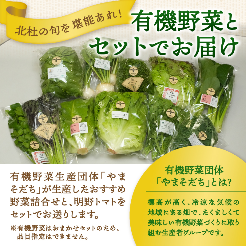 明野とまとと有機野菜おまかせ4種セット　トマト 約1kg 有機野菜 おまかせ 4種 セット 新鮮 甘味 酸味 野菜 明野とまと 九州屋ファーム 明野町 山梨県 北杜市 仕送りギフト