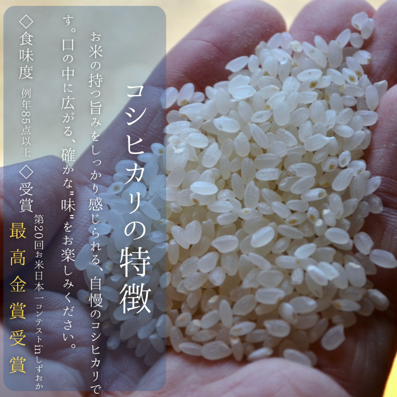 【令和8年度新米】八ヶ岳の余韻特別栽培米コシヒカリ 10kg×1袋　米 白米 コシヒカリ 特別栽培米 八ヶ岳の余韻 八ヶ岳南麓 小淵沢