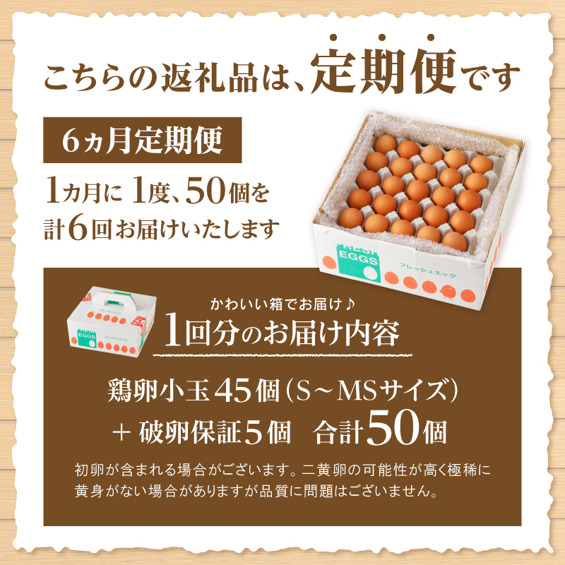 【6ヶ月定期便】水の恵み小卵　たまご S～MS サイズ 小玉 卵 鶏卵 45個 6ヶ月 水の恵み 小卵 破卵保証5個入り 小ぶり 濃厚 山梨県 北杜市産 ハイチック 明野農場