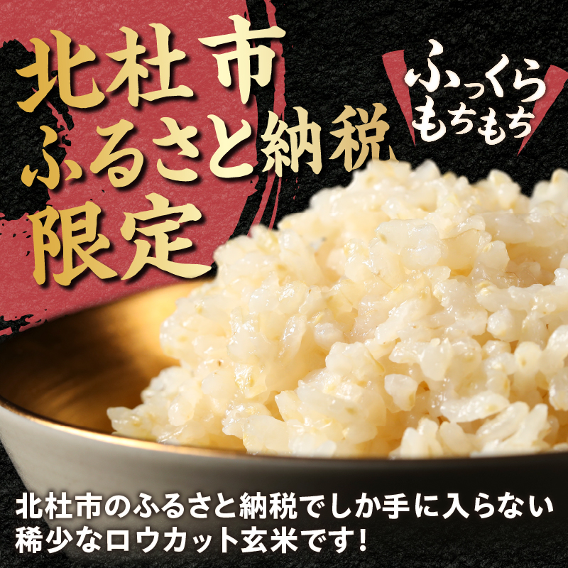 【令和7年度産米】金芽ロウカット玄米 特別栽培米 農林48号 4kg(2kg×2) 　玄米 無洗米 東洋ライス 糖質オフ カロリーオフ 小分け