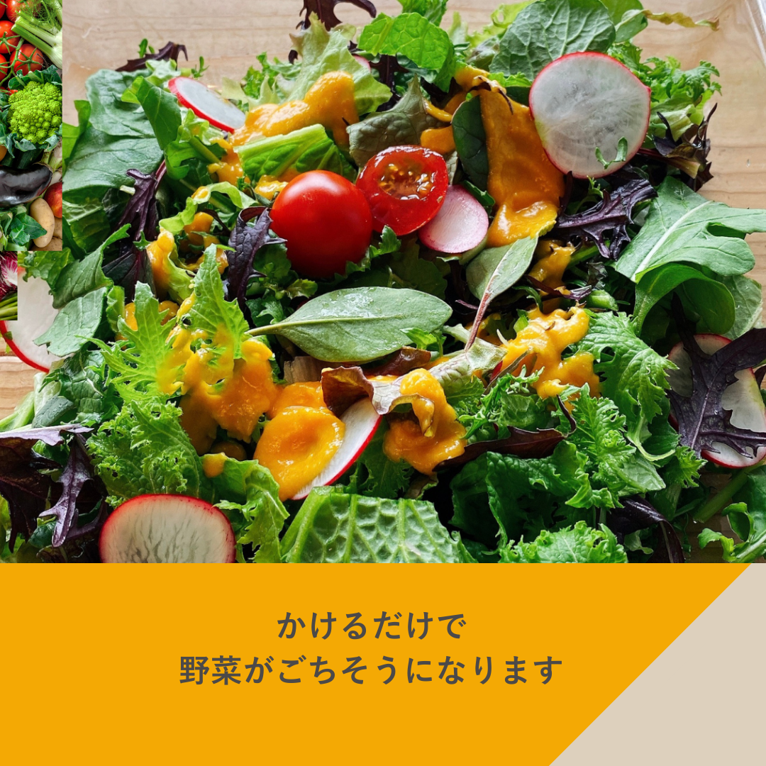フェリチタ 定番4種セット　ドレッシング レギュラーサイズ 200ml×4本 人参 胡麻 ビーツ オリエンタル サラダ 温野菜 手づくり