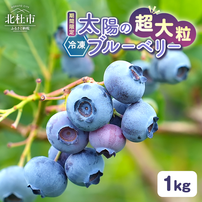 【超大粒】山梨県産（明野産）冷凍 ブルーベリー1,000g 　無農薬 新鮮 フルーツ くだもの 生果実 ベリー 北杜市産 期間限定 数量限定
