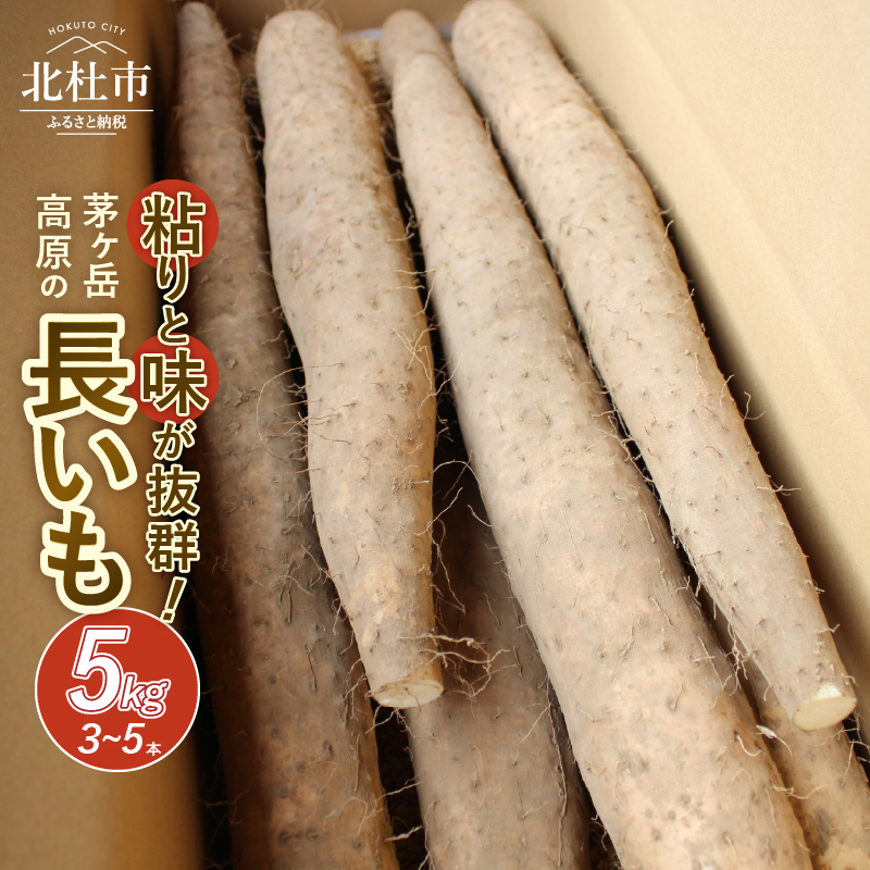 【2026年先行予約】茅ヶ岳高原 粘りと味が抜群の長芋 5kg箱　長いも 約3～5本 ながいも 山芋 野菜 とろろ 磯辺揚げ 粘り 期間限定 明野町 茅ヶ岳高原 山梨県 北杜市