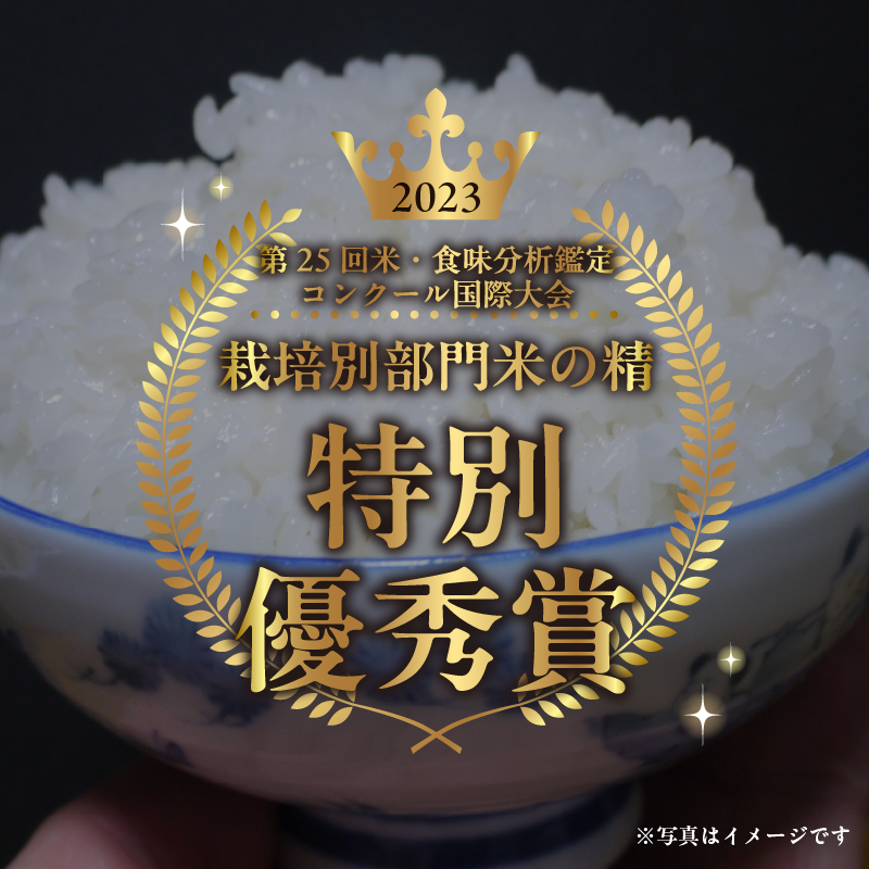 【先行予約】【令和8年度新米】こぴっと米【農林48号】4kg 1等特別栽培 100％　米 新米 精米 よんぱち 幻のお米 北杜市産 お米 等級検査1等米