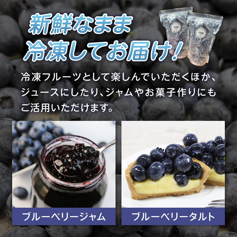 【中粒】山梨県産（明野産）冷凍 ブルーベリー500g　無農薬 新鮮 フルーツ くだもの 生果実 ベリー 北杜市産 期間限定 数量限定