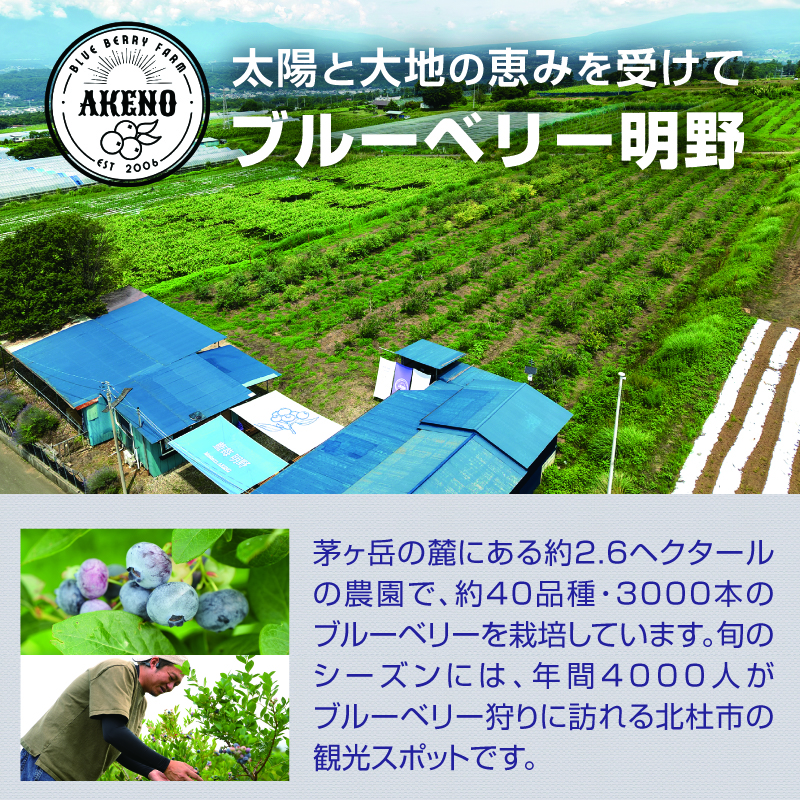【中粒】山梨県産（明野産）冷凍 ブルーベリー500g　無農薬 新鮮 フルーツ くだもの 生果実 ベリー 北杜市産 期間限定 数量限定