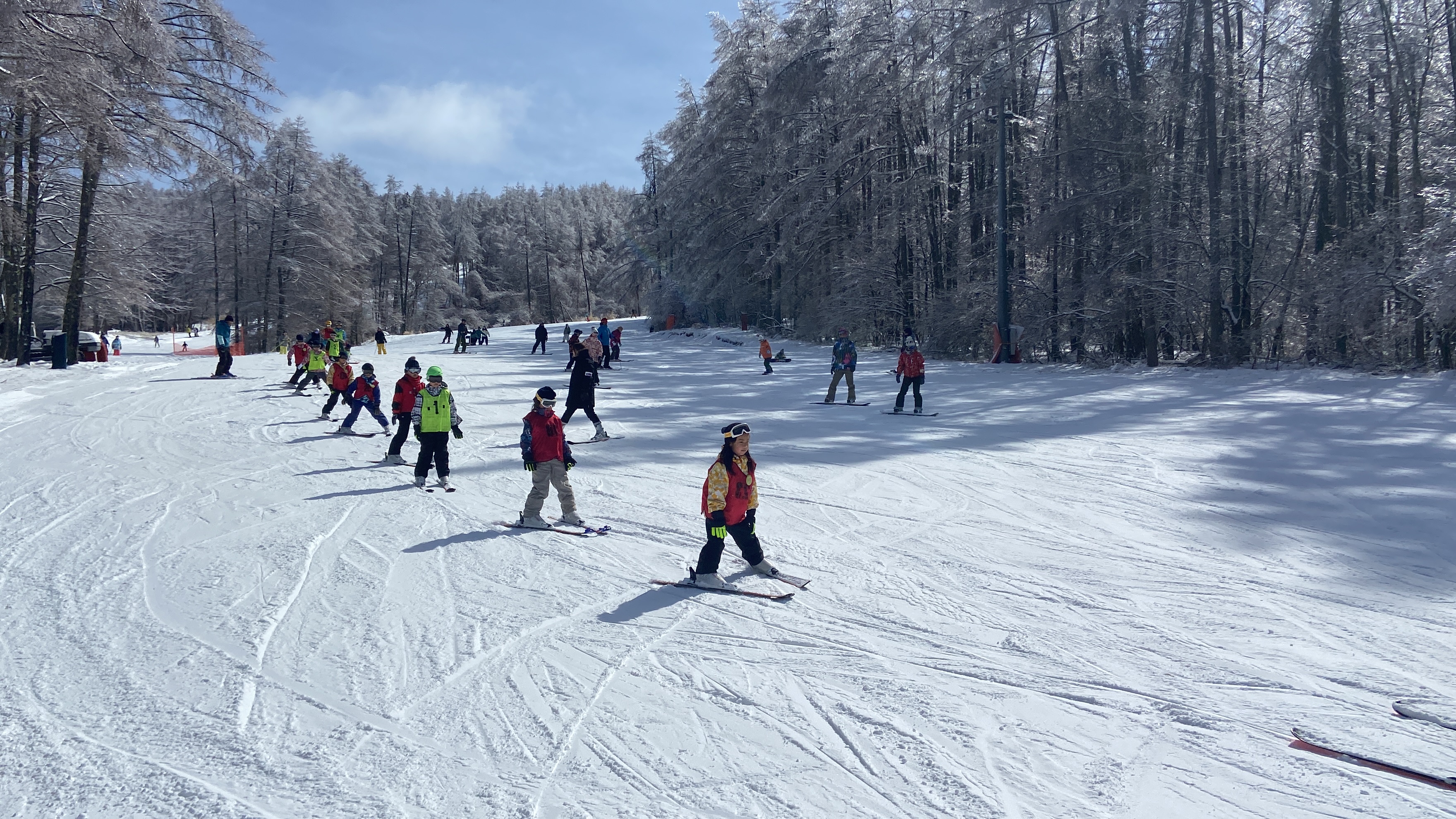 BUB RESORT Yatsugatake 天才キャンプ クーポン券(99000円分）　クーポン券 「BUBRESORT Yatsugatake」 99000円分 天才キャンプ 体験型宿泊施設 体験 アクティビティ スキー 狩猟体験 山梨県 北杜市 八ヶ岳