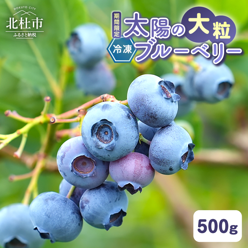 【大粒】山梨県産（明野産）冷凍 ブルーベリー500g　無農薬 新鮮 フルーツ くだもの 生果実 ベリー 北杜市産 期間限定 数量限定