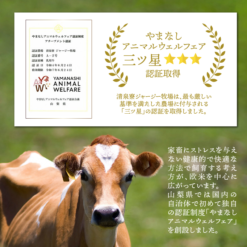 清泉寮ジャージーゴーダチーズ 100g×2個　チーズ ゴーダチーズ 100g×2個 清里 清泉寮牧場 有機ジャージー 有機JAS認証取得 ジャージー牛乳 低温殺菌処理 清里 山梨県 北杜市産