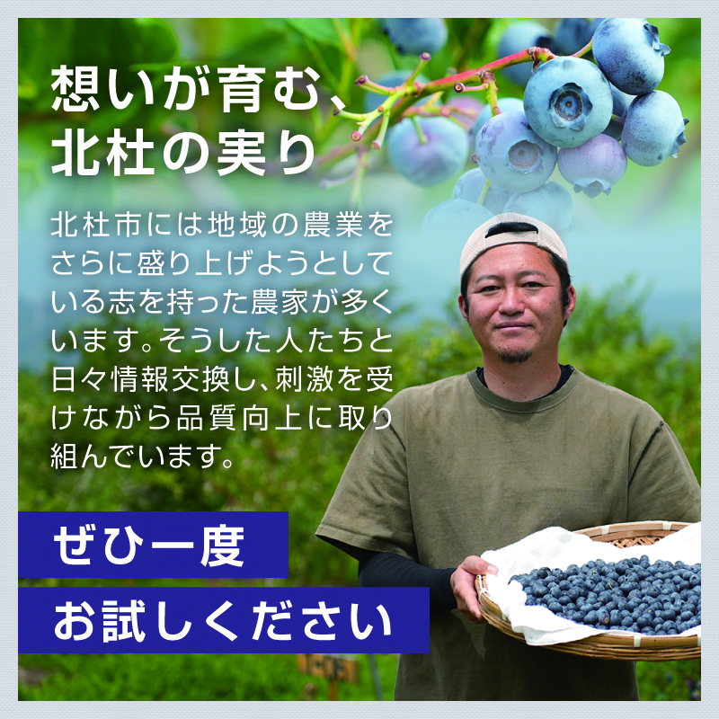 【中粒】山梨県産（明野産）冷凍　ブルーベリー1,000g　無農薬 新鮮 フルーツ くだもの 生果実 ベリー 北杜市産 期間限定 数量限定