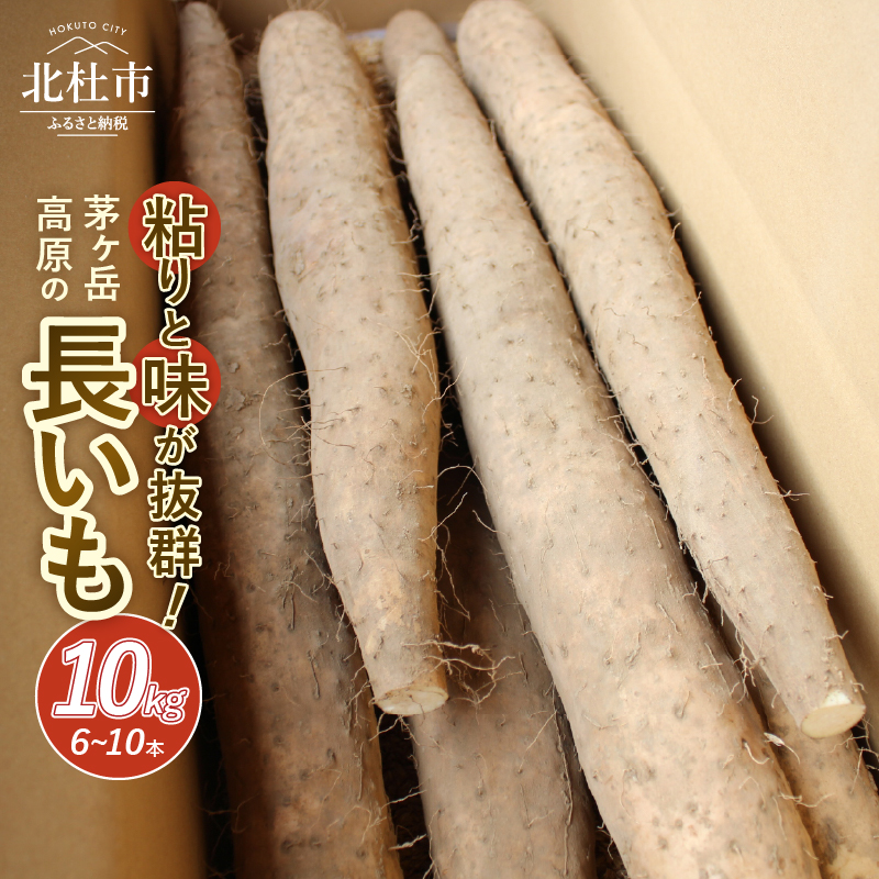 【2026年先行予約】茅ヶ岳高原 粘りと味が抜群の長芋 10kg箱　長いも 約3～5本 ながいも 山芋 野菜 とろろ 磯辺揚げ 粘り 期間限定 明野町 茅ヶ岳高原 山梨県 北杜市