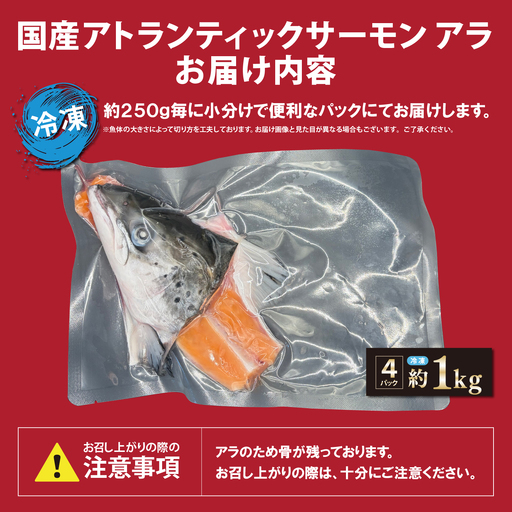 日本初 完全陸上養殖 静岡県小山町産 アトランティックサーモン 冷凍 アラ4パック 約1kg | サーモン さーもん 小分け 真空パック 鮭 養殖 国産 大容量 静岡県 小山町