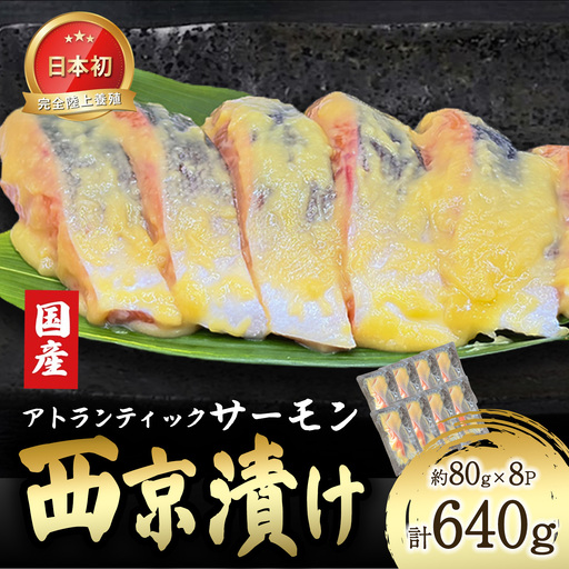 小山町産アトランティックサーモン追い麹西京漬け 8P | サーモン 小分け 真空パック 海鮮 魚介 西京漬け 味噌漬け みそ漬け 国産 鮭 しゃけ サケ 養殖 大容量 静岡県 小山町